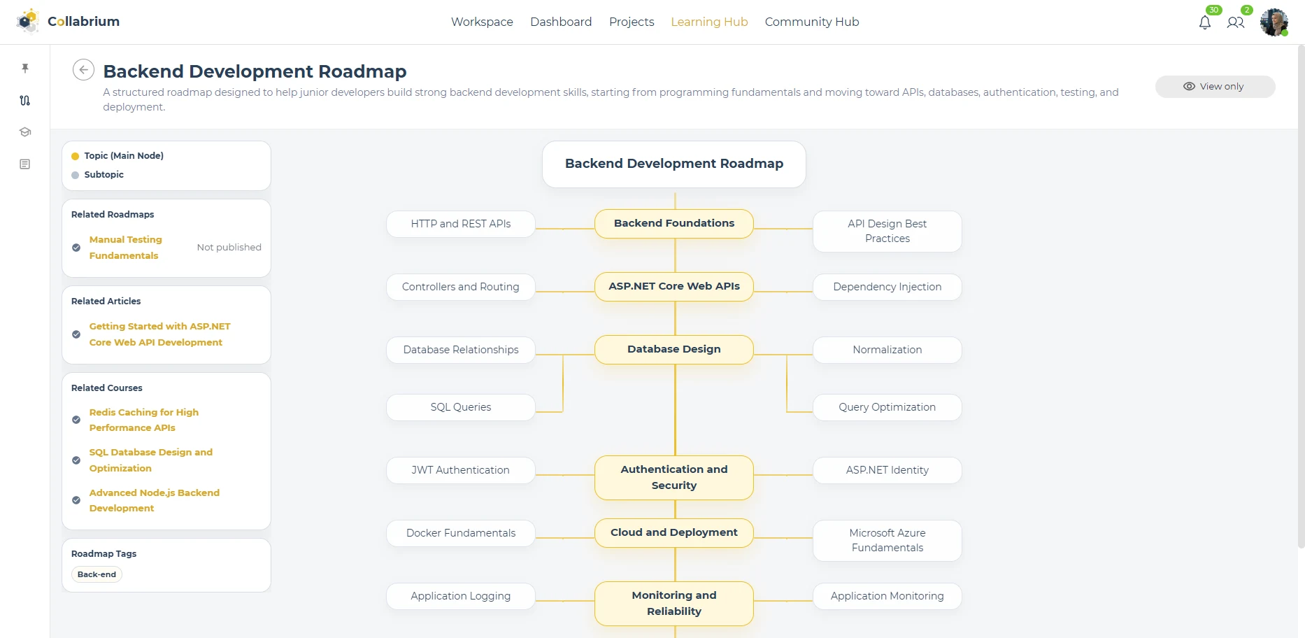 LearningHub / Roadmap Developer View Page