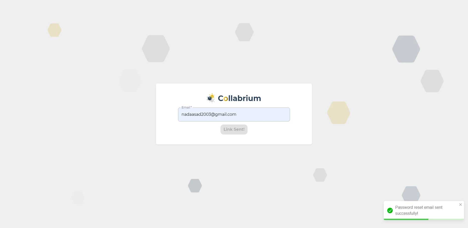 Auth / forgot Password