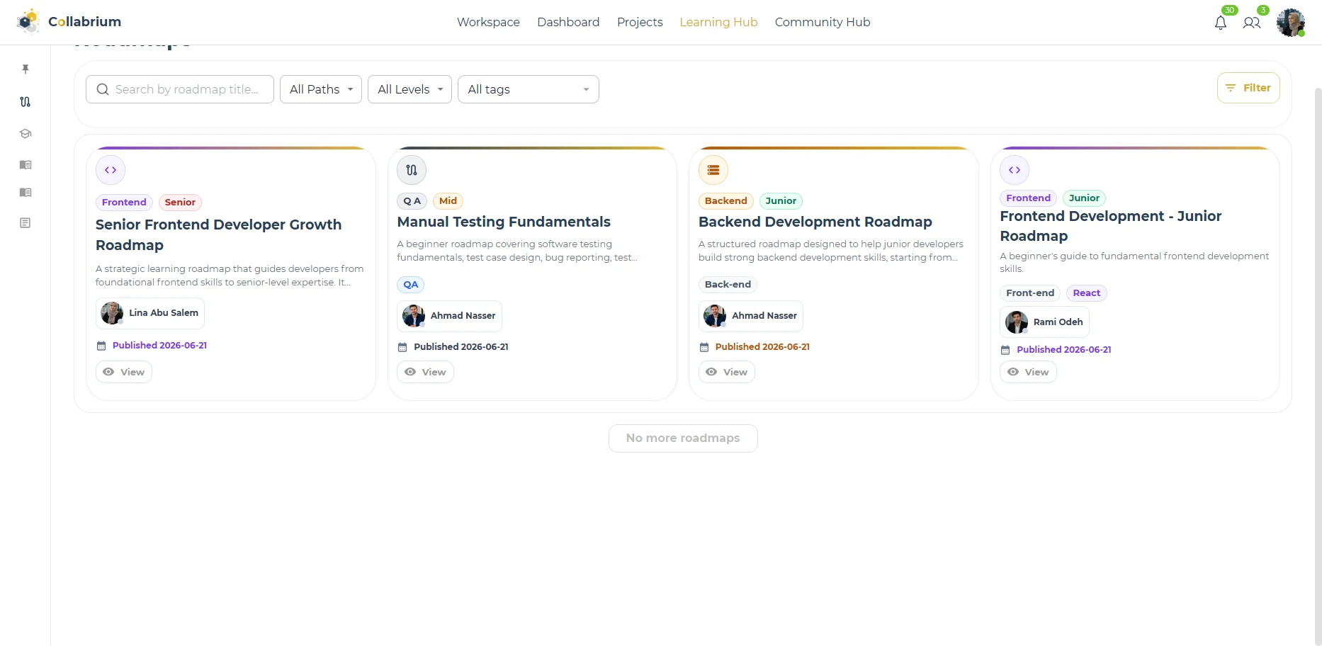 LearningHub / Roadmap Developer View